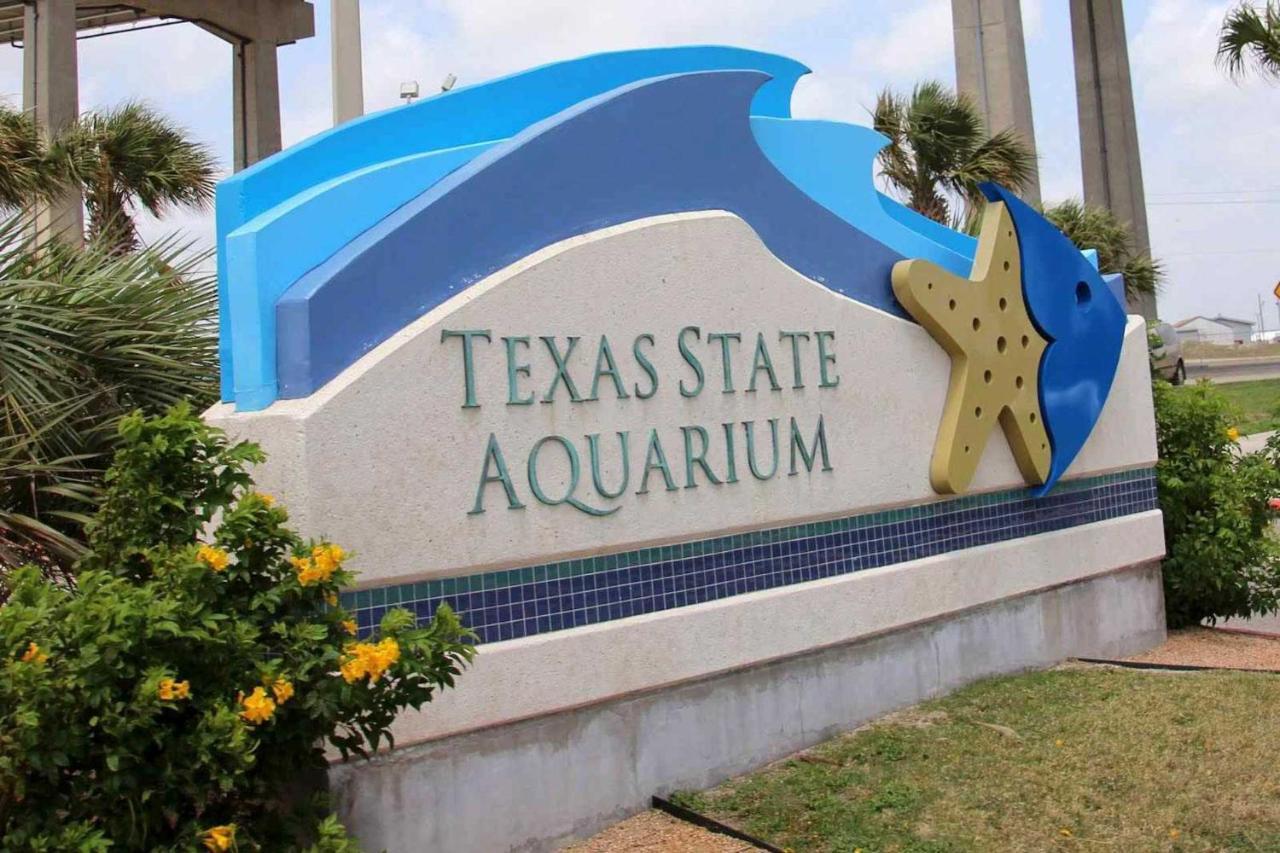 Corpus Christi Condo With Pool Access, Walk To Beach エクステリア 写真